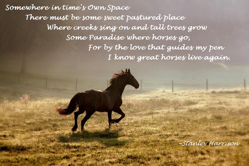 horse poem