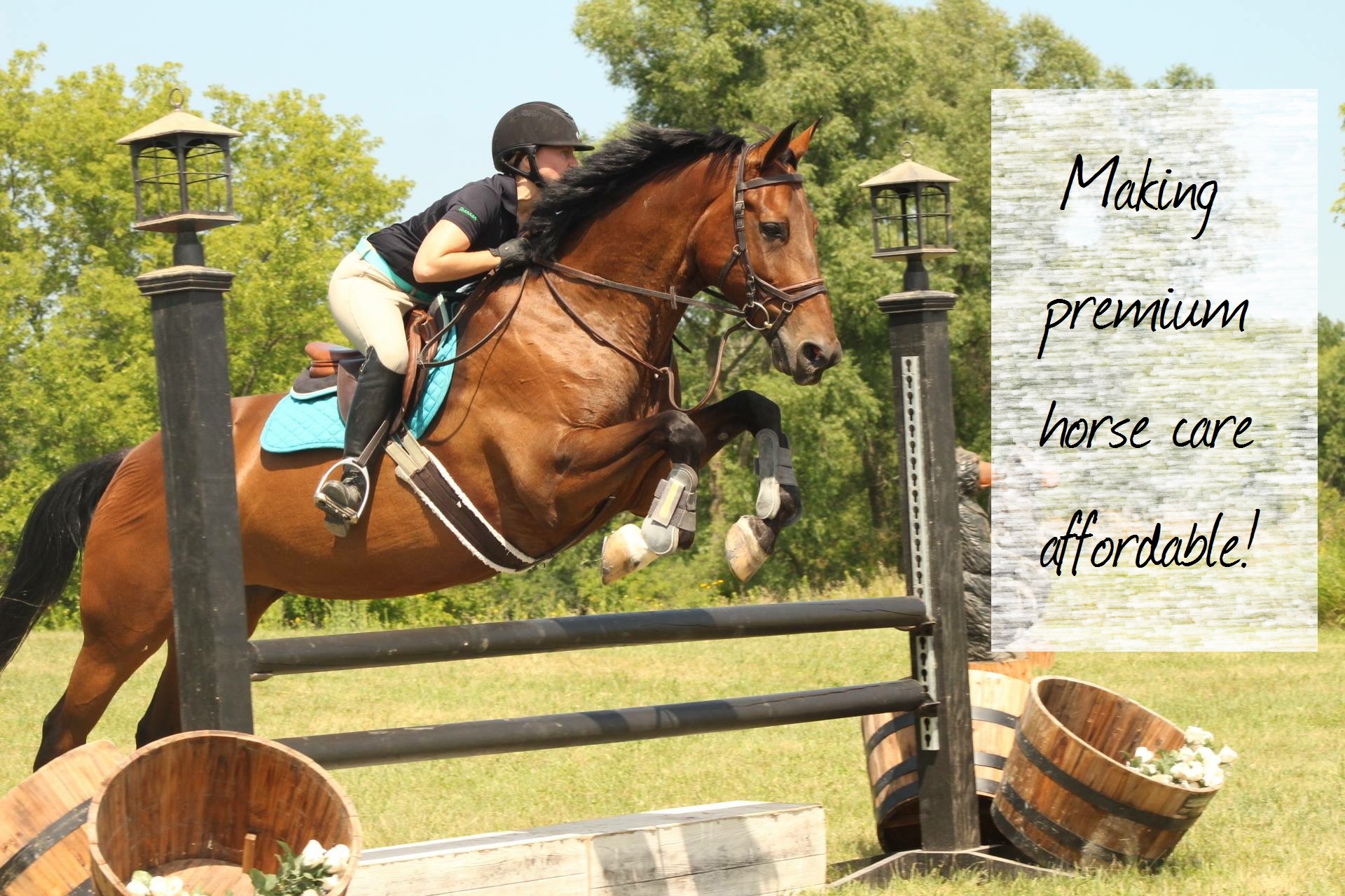 Making premium horse care affordable!